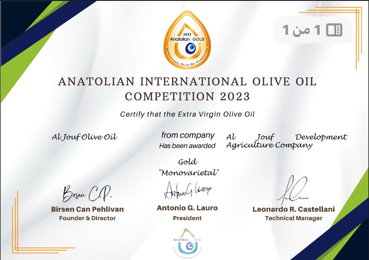 certificate Image